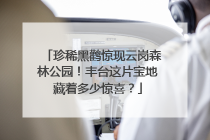 珍稀黑鹳惊现云岗森林公园！丰台这片宝地藏着多少惊喜？