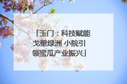 玉门：科技赋能戈壁绿洲 小院引领蜜瓜产业振兴