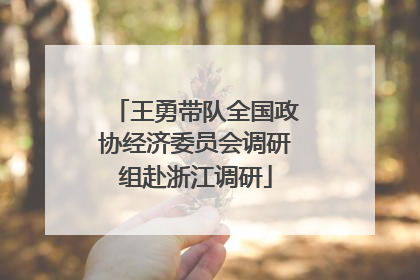 王勇带队全国政协经济委员会调研组赴浙江调研