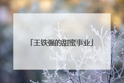 王铁强的甜蜜事业