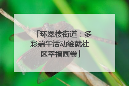 环翠楼街道：多彩端午活动绘就社区幸福画卷