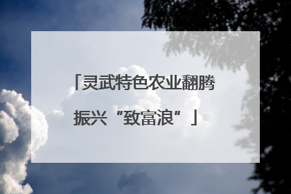 灵武特色农业翻腾振兴“致富浪”
