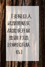 炎陵县人武部紧贴实战需求开展集训 打造过硬民兵队伍