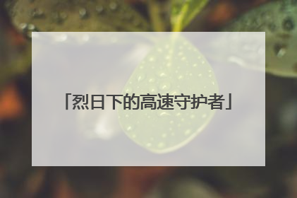 烈日下的高速守护者