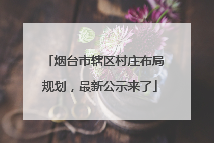 烟台市辖区村庄布局规划，最新公示来了