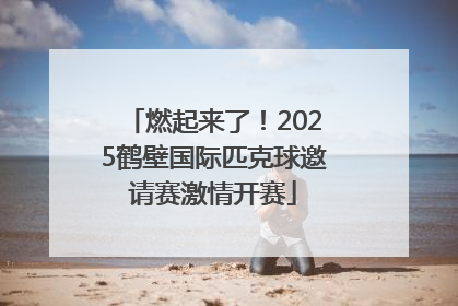 燃起来了！2025鹤壁国际匹克球邀请赛激情开赛