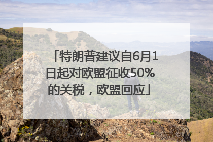 特朗普建议自6月1日起对欧盟征收50%的关税，欧盟回应