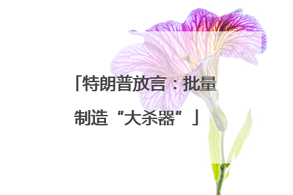 特朗普放言：批量制造“大杀器”