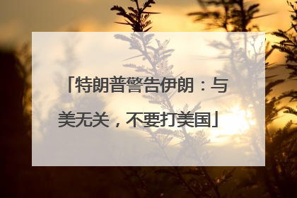 特朗普警告伊朗：与美无关，不要打美国