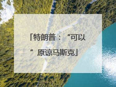 特朗普：“可以”原谅马斯克