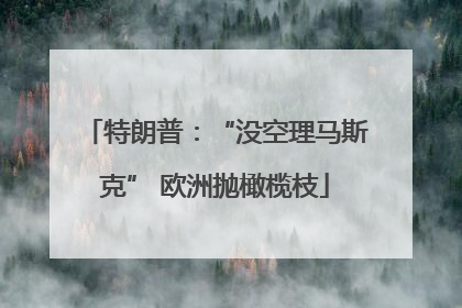 特朗普：“没空理马斯克” 欧洲抛橄榄枝