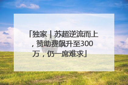 独家｜苏超逆流而上，赞助费飙升至300万，仍一席难求