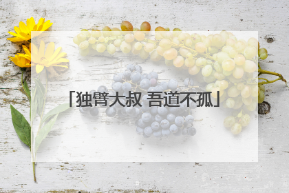 独臂大叔 吾道不孤