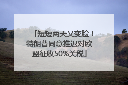 短短两天又变脸！特朗普同意推迟对欧盟征收50%关税