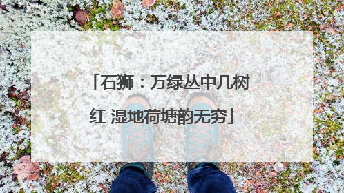 石狮：万绿丛中几树红 湿地荷塘韵无穷