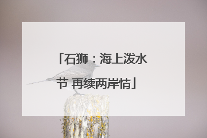 石狮：海上泼水节 再续两岸情