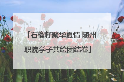 石榴籽聚华夏情 随州职院学子共绘团结卷