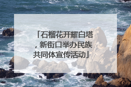 石榴花开耀白塔，新街口举办民族共同体宣传活动