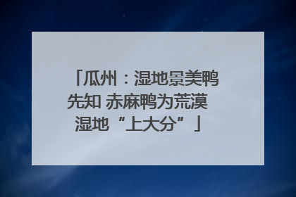 瓜州：湿地景美鸭先知 赤麻鸭为荒漠湿地“上大分”