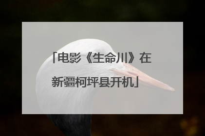 电影《生命川》在新疆柯坪县开机