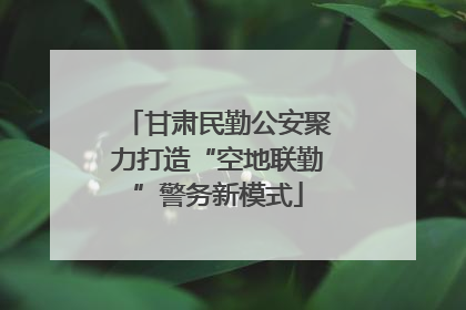甘肃民勤公安聚力打造“空地联勤”警务新模式