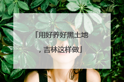 用好养好黑土地，吉林这样做
