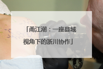 甬江潮：一座县域视角下的浙川协作