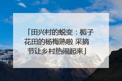 田兴村的蜕变：栀子花田的杨梅熟啦 采摘节让乡村热闹起来