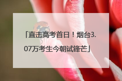 直击高考首日！烟台3.07万考生今朝试锋芒