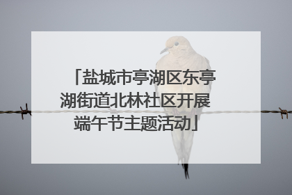 盐城市亭湖区东亭湖街道北林社区开展端午节主题活动