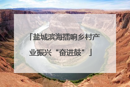 盐城滨海擂响乡村产业振兴“奋进鼓”