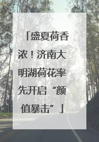 盛夏荷香浓！济南大明湖荷花率先开启“颜值暴击”