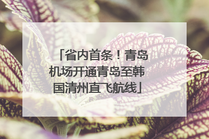省内首条！青岛机场开通青岛至韩国清州直飞航线