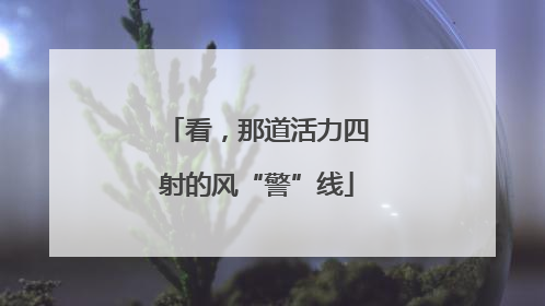 看，那道活力四射的风“警”线