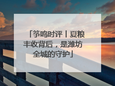 筝鸣时评丨夏粮丰收背后，是潍坊全城的守护