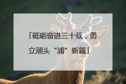 砥砺奋进三十载，勇立潮头“浦”新篇