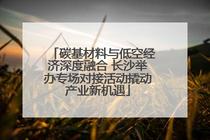 碳基材料与低空经济深度融合 长沙举办专场对接活动撬动产业新机遇