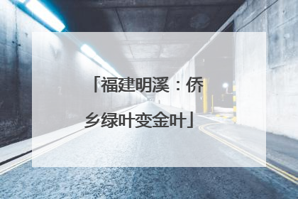 福建明溪：侨乡绿叶变金叶