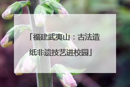 福建武夷山：古法造纸非遗技艺进校园