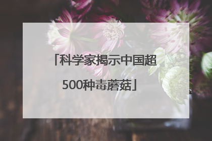 科学家揭示中国超500种毒蘑菇