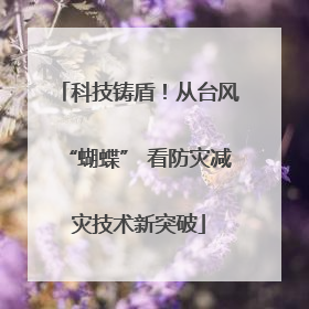 科技铸盾！从台风“蝴蝶” 看防灾减灾技术新突破