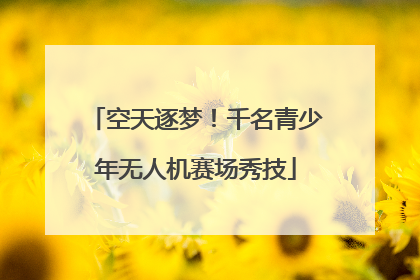 空天逐梦！千名青少年无人机赛场秀技