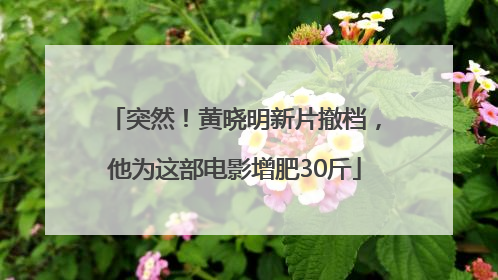 突然！黄晓明新片撤档，他为这部电影增肥30斤