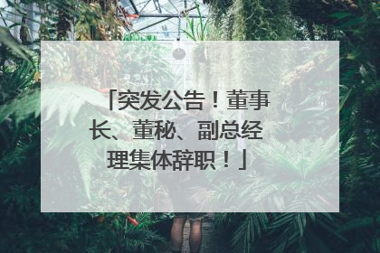突发公告！董事长、董秘、副总经理集体辞职！