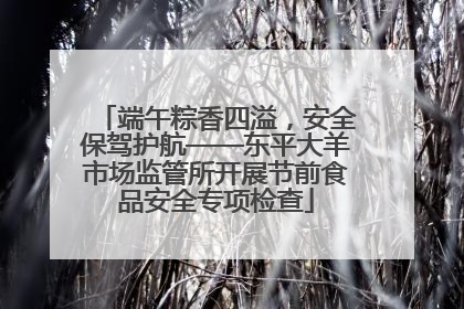 端午粽香四溢，安全保驾护航——东平大羊市场监管所开展节前食品安全专项检查