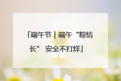 端午节｜端午“粽情长” 安全不打烊