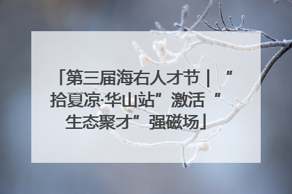 第三届海右人才节｜“拾夏凉·华山站”激活“生态聚才”强磁场