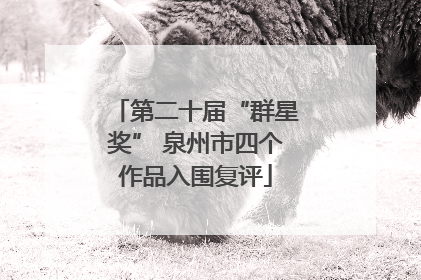 第二十届“群星奖” 泉州市四个作品入围复评