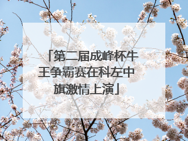 第二届成峰杯牛王争霸赛在科左中旗激情上演
