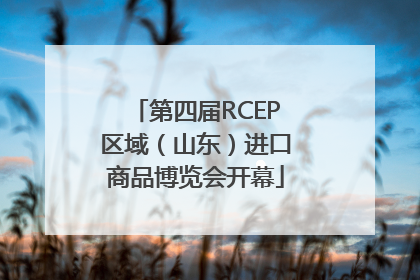 第四届RCEP区域（山东）进口商品博览会开幕